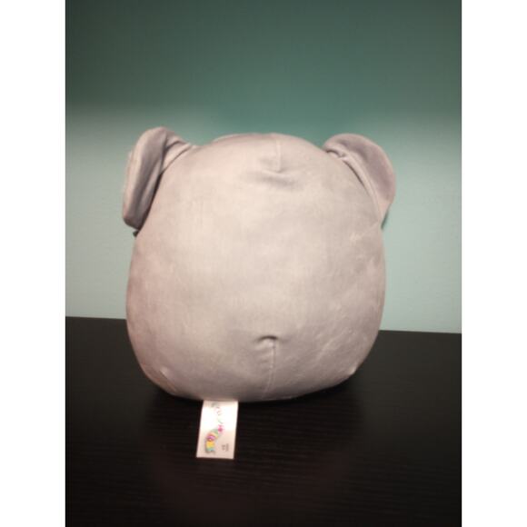 Squishmallows 8 inch Back to School Kirk the Koala Excellent Condition‎ - Picture 2 of 3